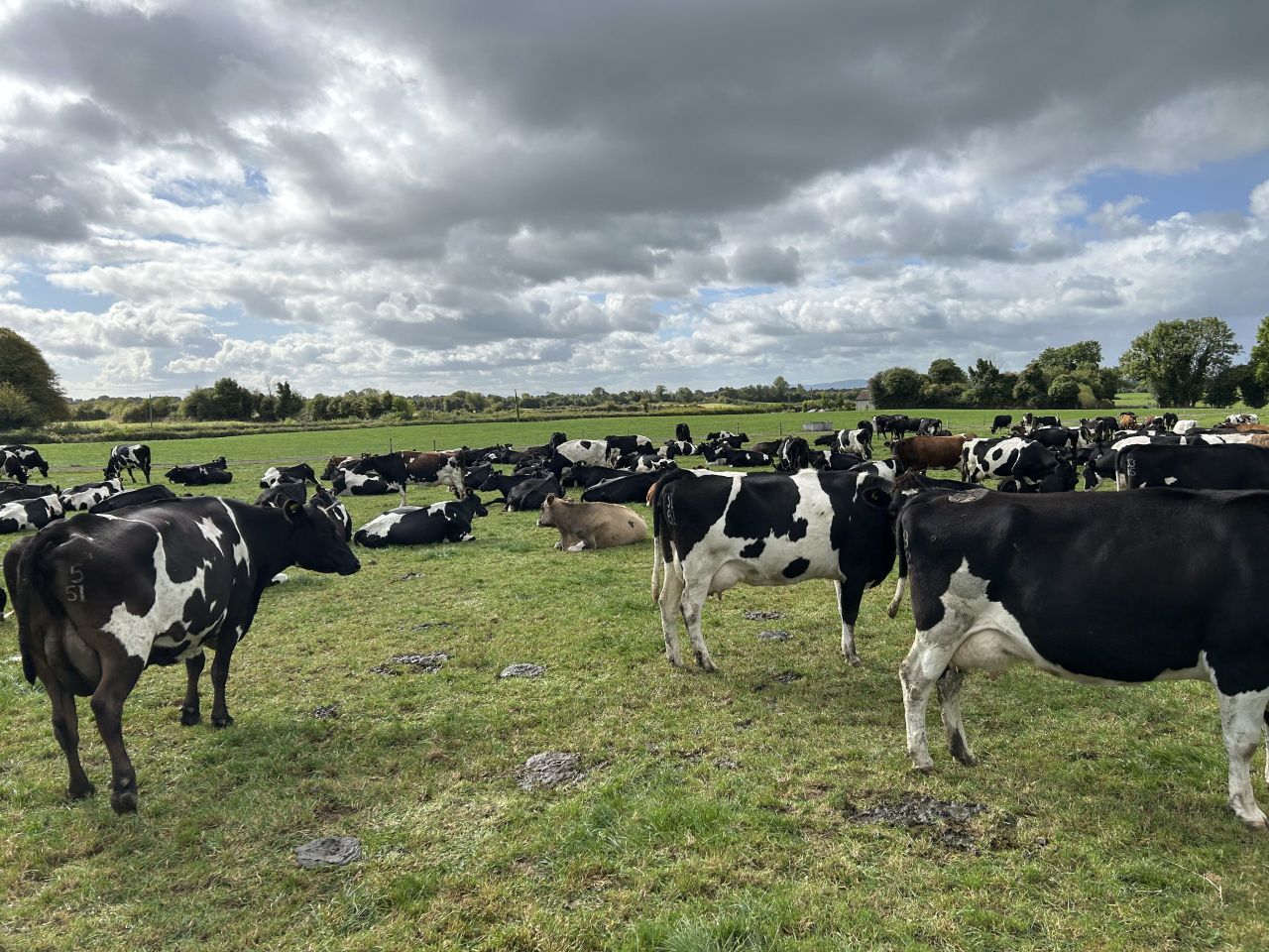 What might a loss of the derogation mean for individual farms?