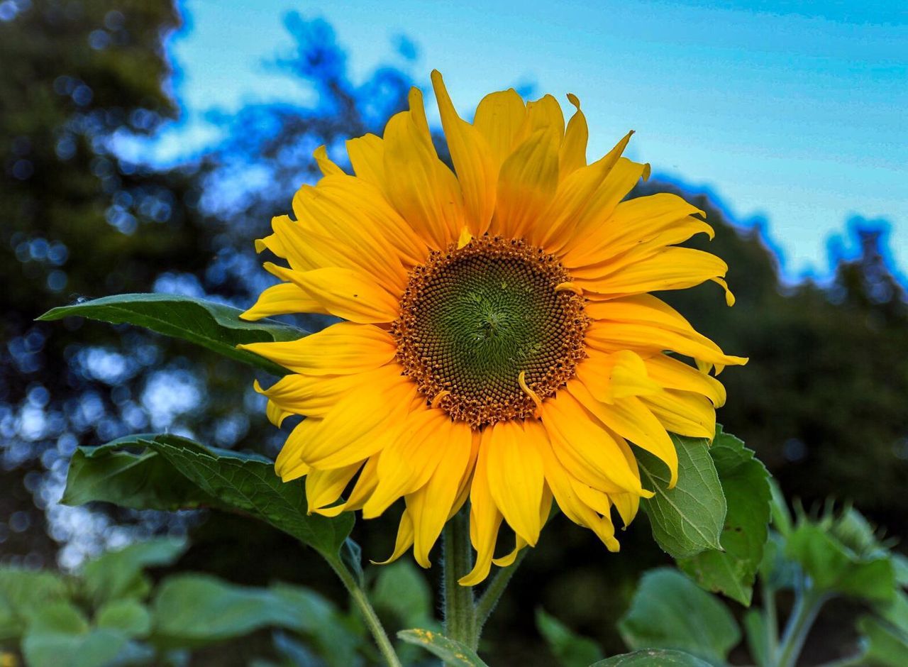 What impact will the crisis in Ukraine have on farming?