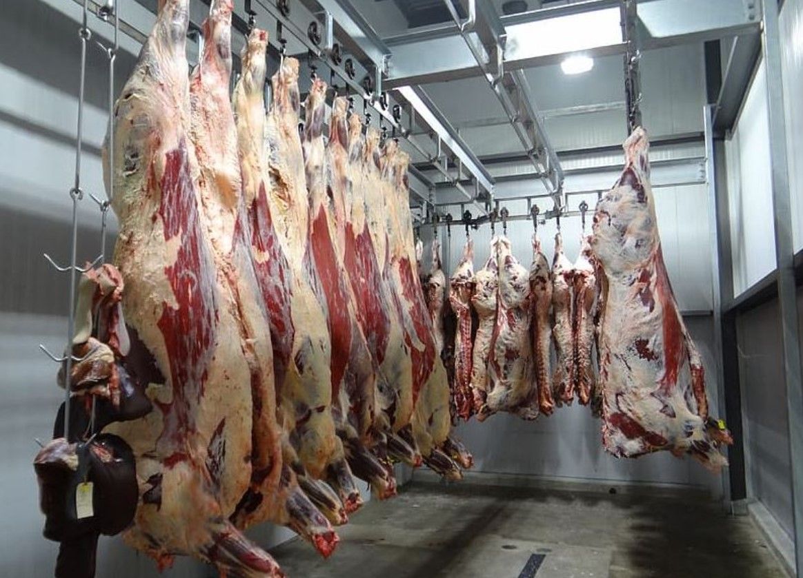 UK beef price approaches €5/kg as Irish price lags