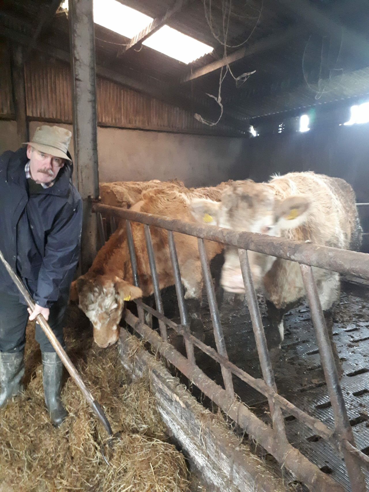 Farm accident survivor: 'I might not be here at all'