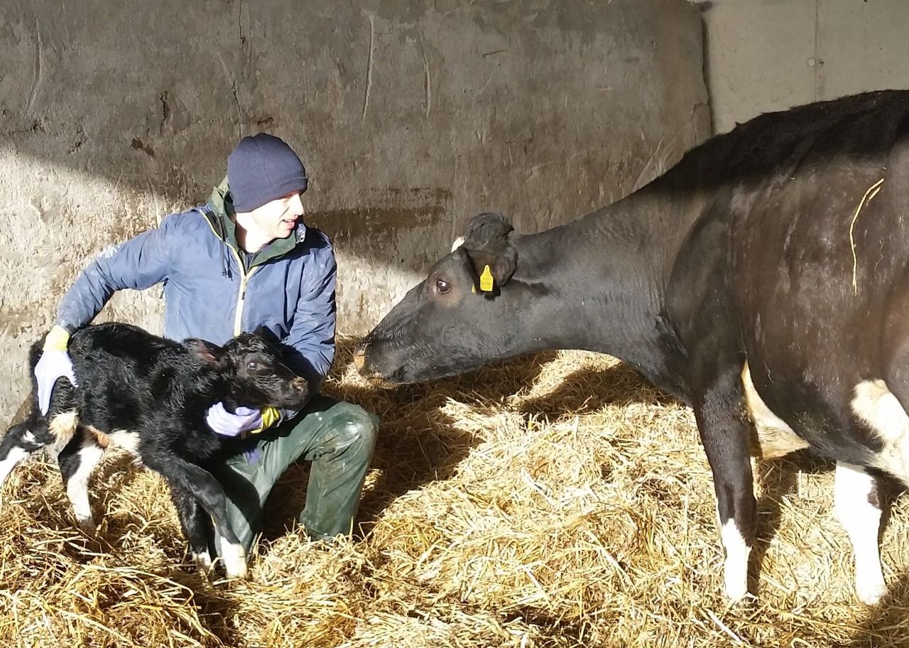 'Farming was his first love' - charity livestock sale in memory of Cork farmer