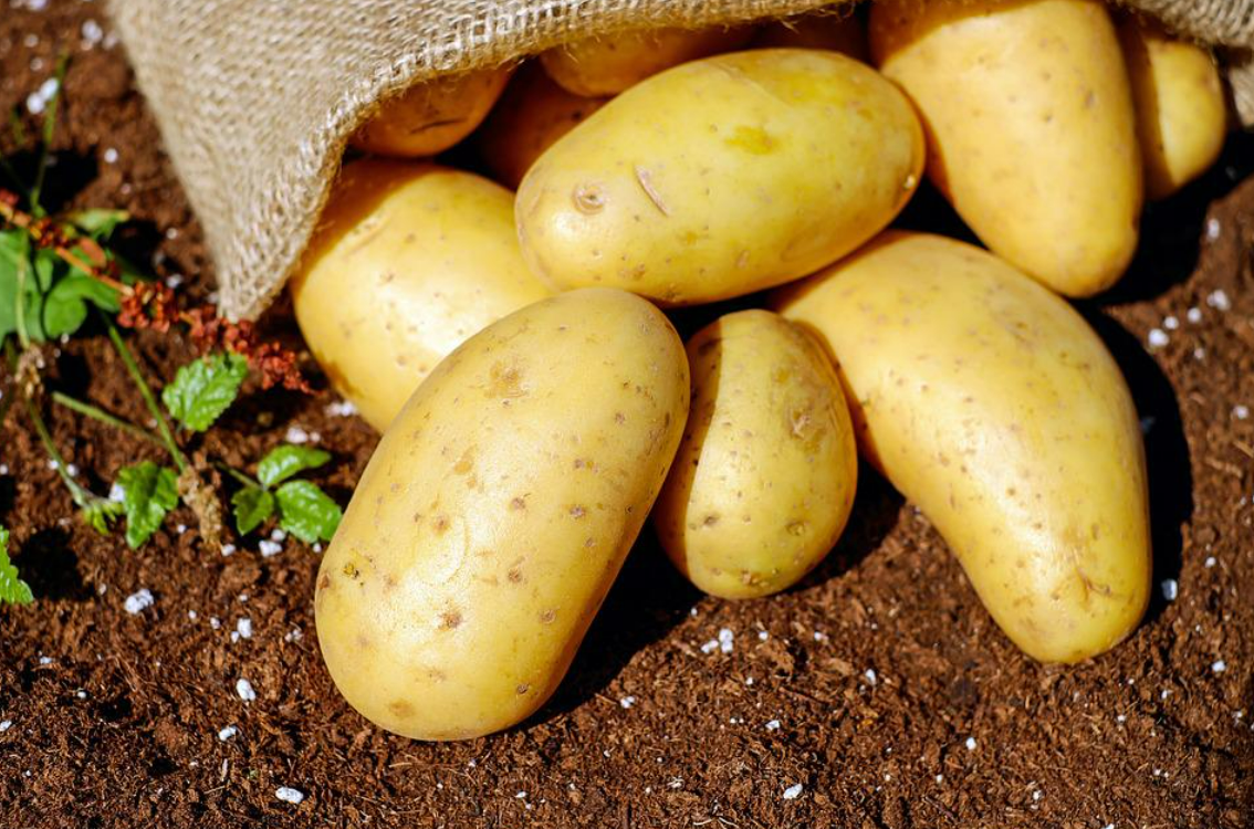 National meeting for potato farmers next week