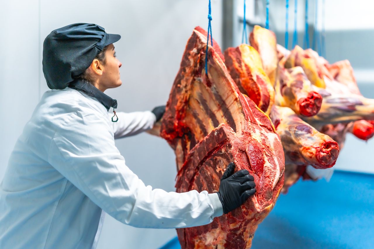 CSO: Food and live animals exports grew over 11% year-on-year