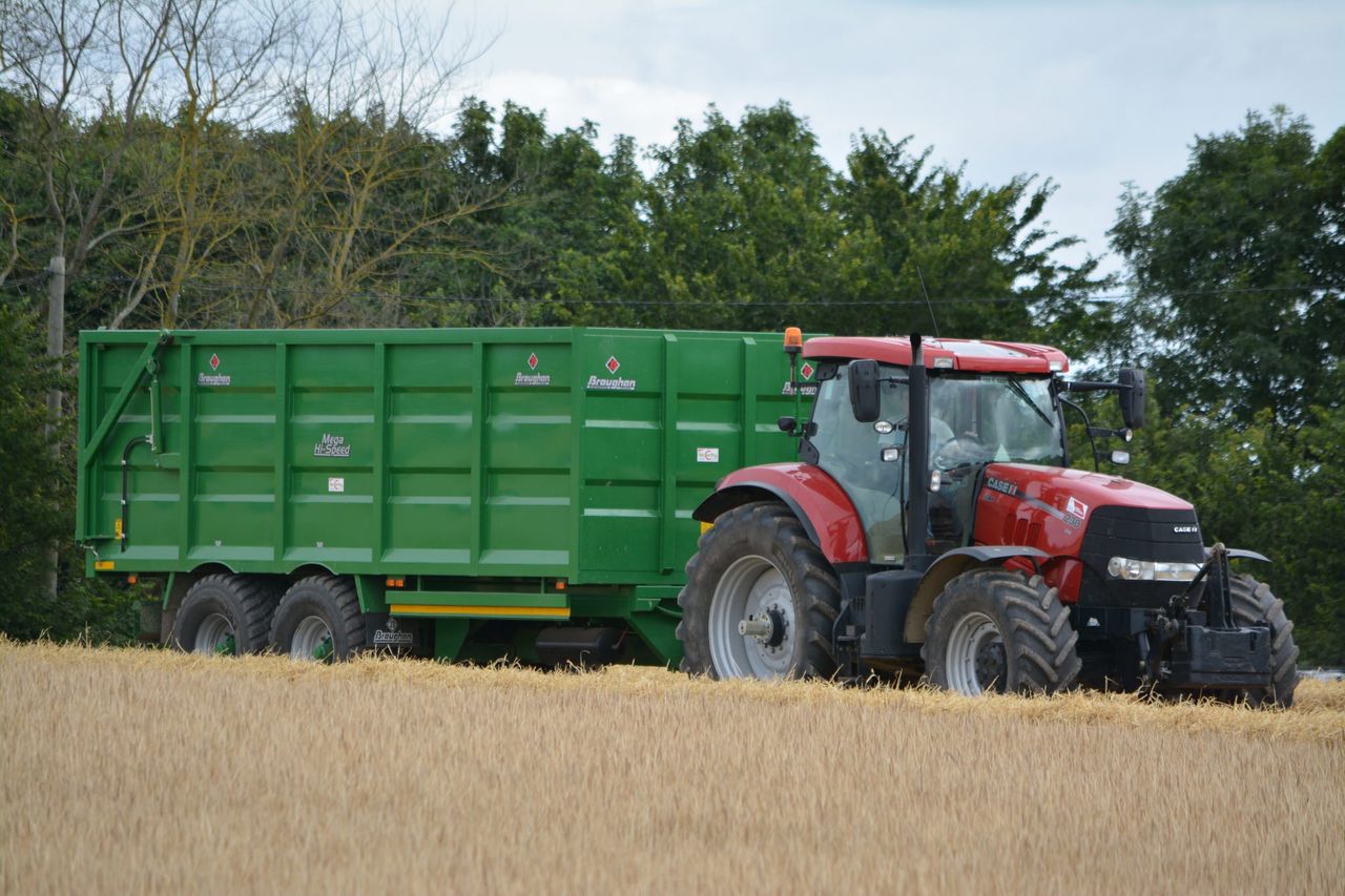 Rising feed demand to drive EU cereal production to 341 million tonnes by 2030