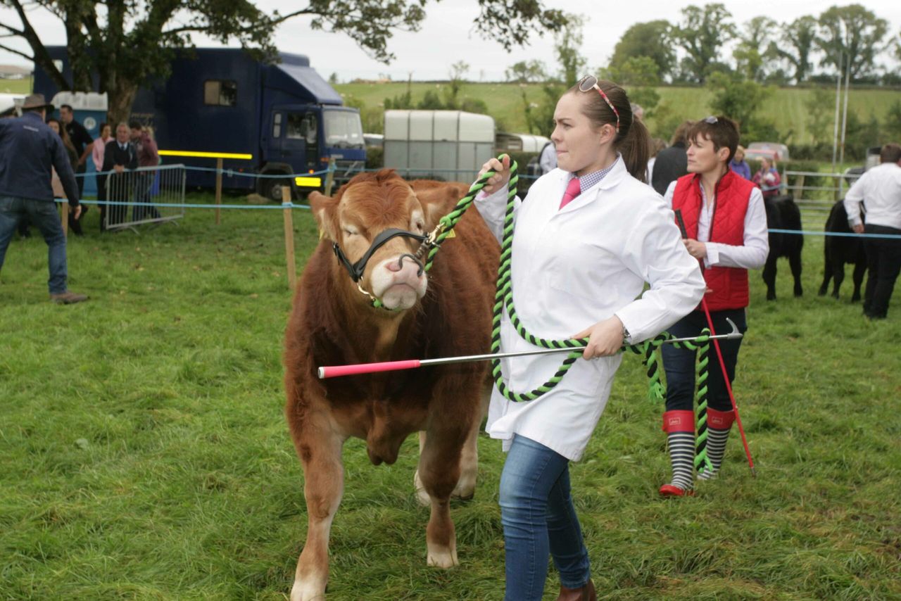 Agricultural show in the west of Ireland enters its 113th year