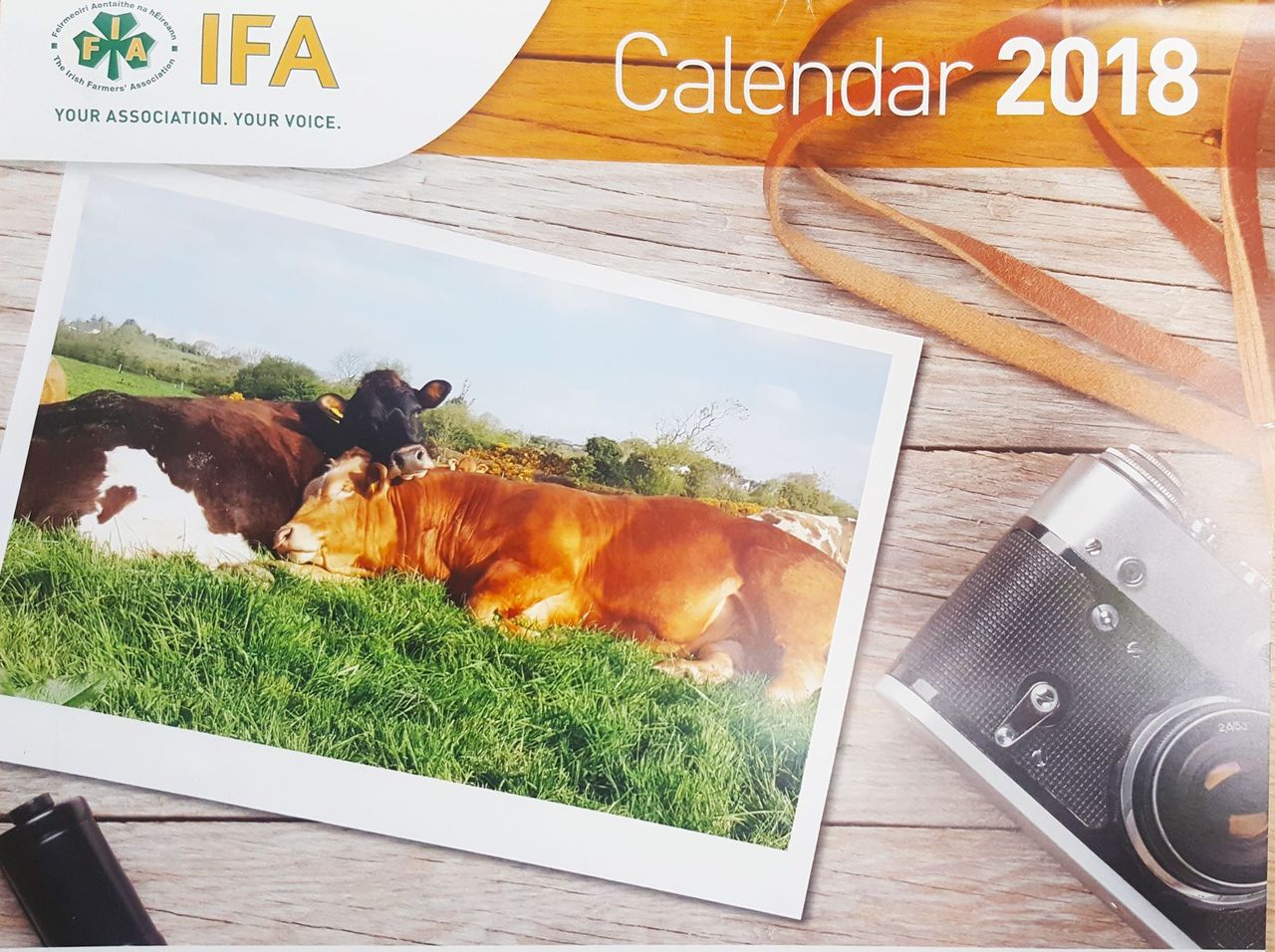 IFA calendar for 2018 really hits the spot