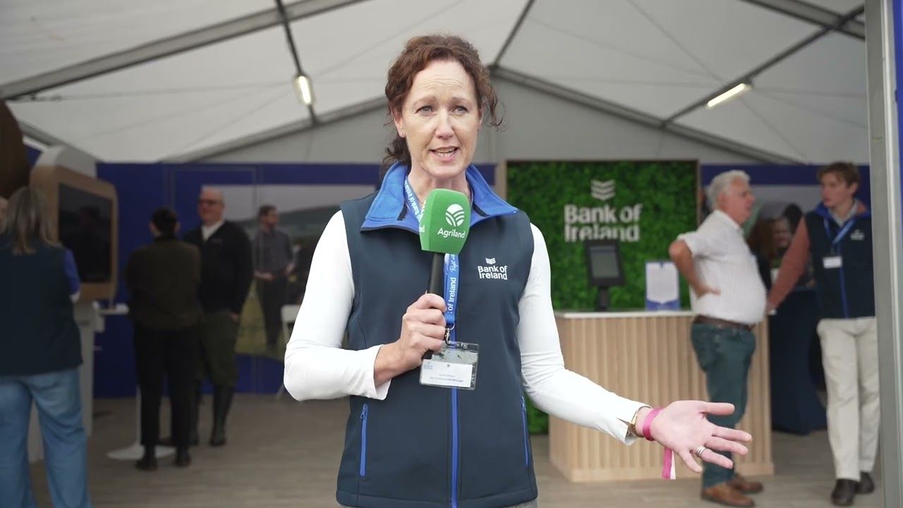 Catching up with Bank of Ireland at Ploughing 2026