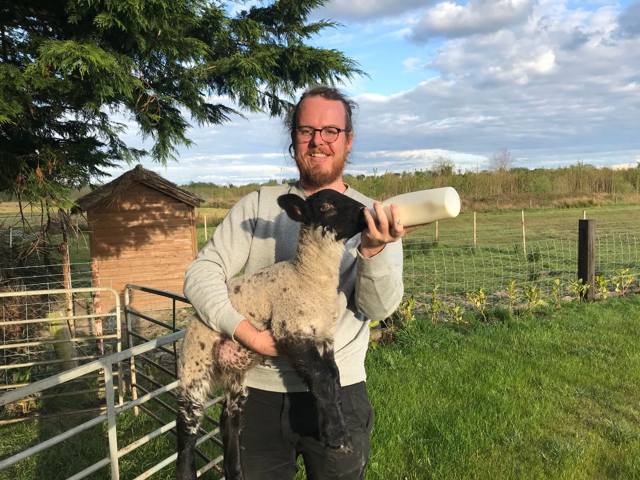 New book reflects on lessons learned from a sheep shed