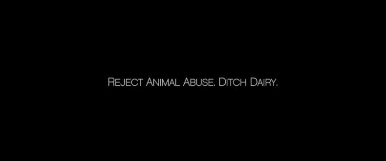Video shows shocking cruelty on Canada's largest dairy farm