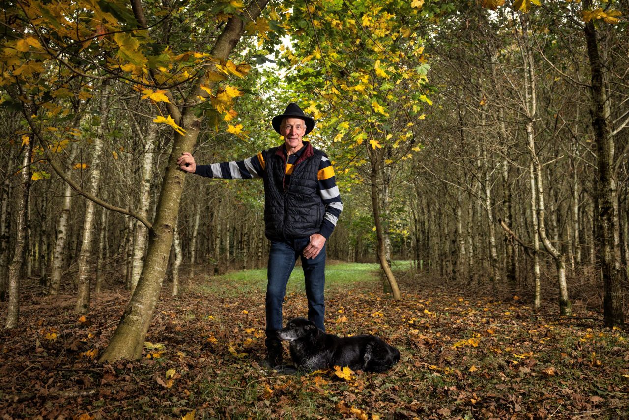 ‘Thinking of forestry, I’d definitely say go ahead’ - Westmeath beef farmer