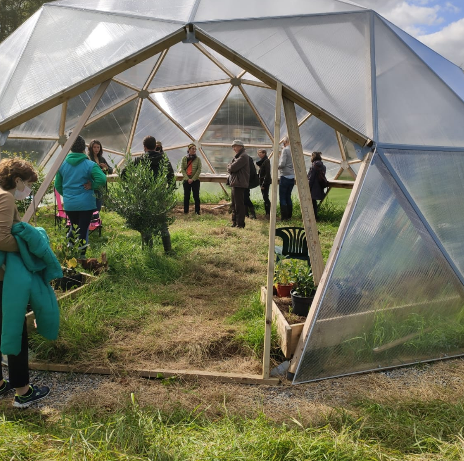 Westmeath farm hosts 'open air life' summer event series