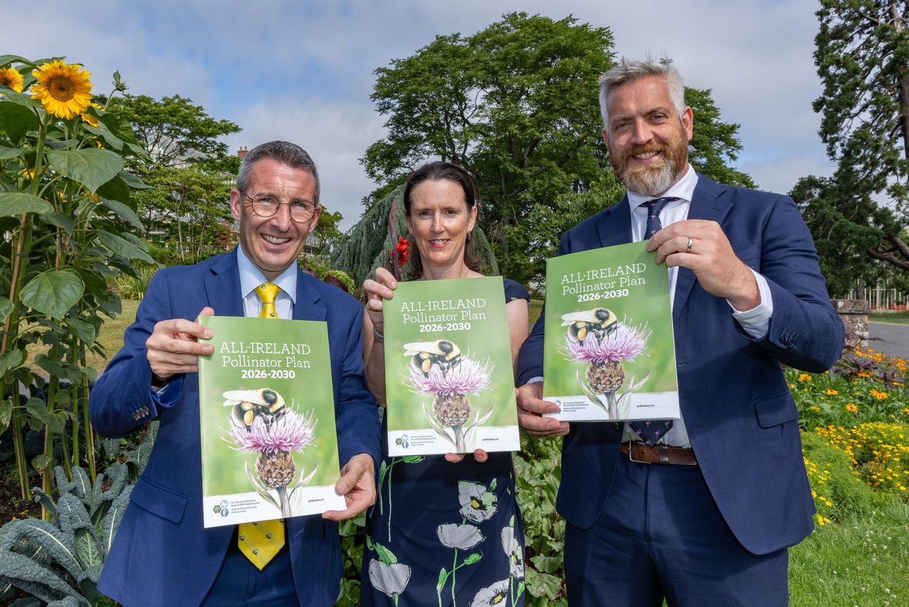 New Pollinator Plan ‘benefits farmers in particular’ - minister