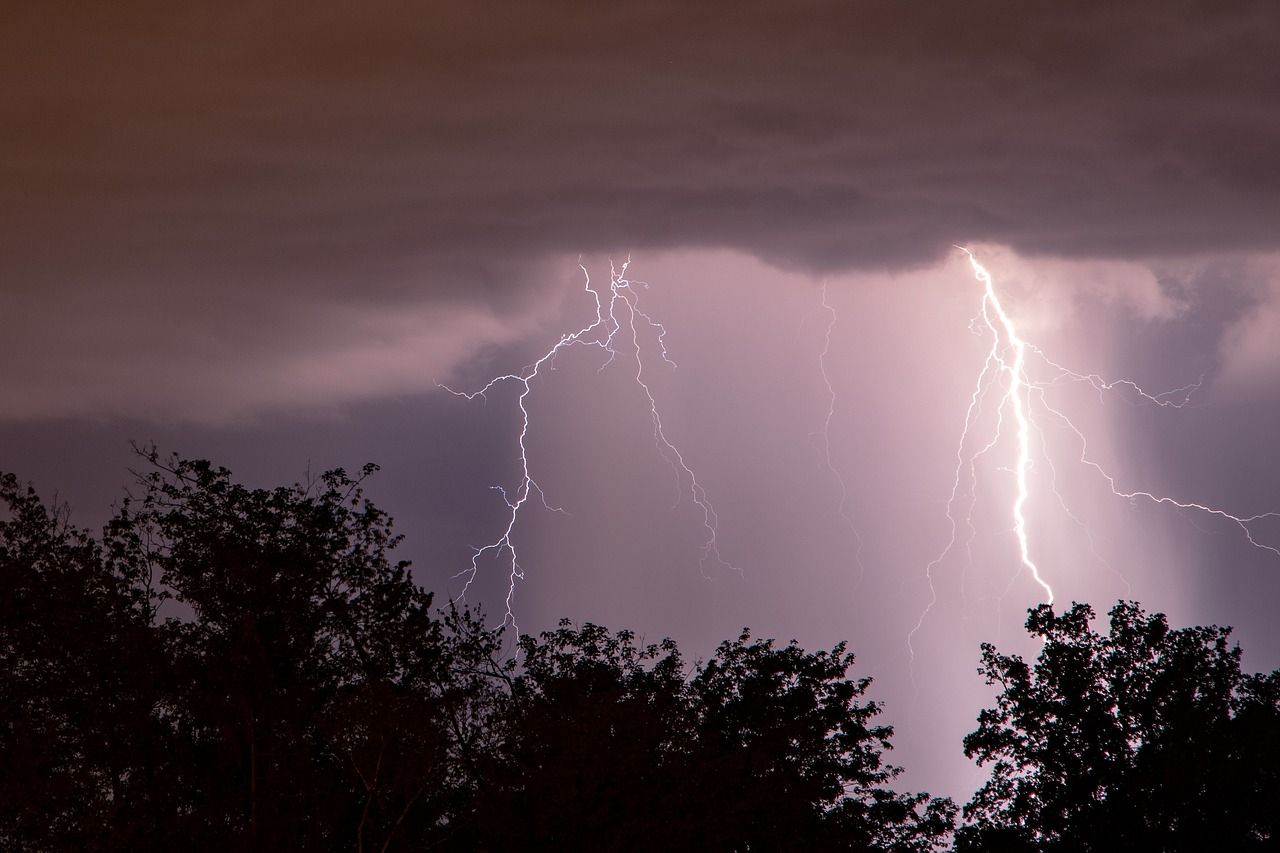 Cattle, sheep and horses killed after lightning strikes in Galway