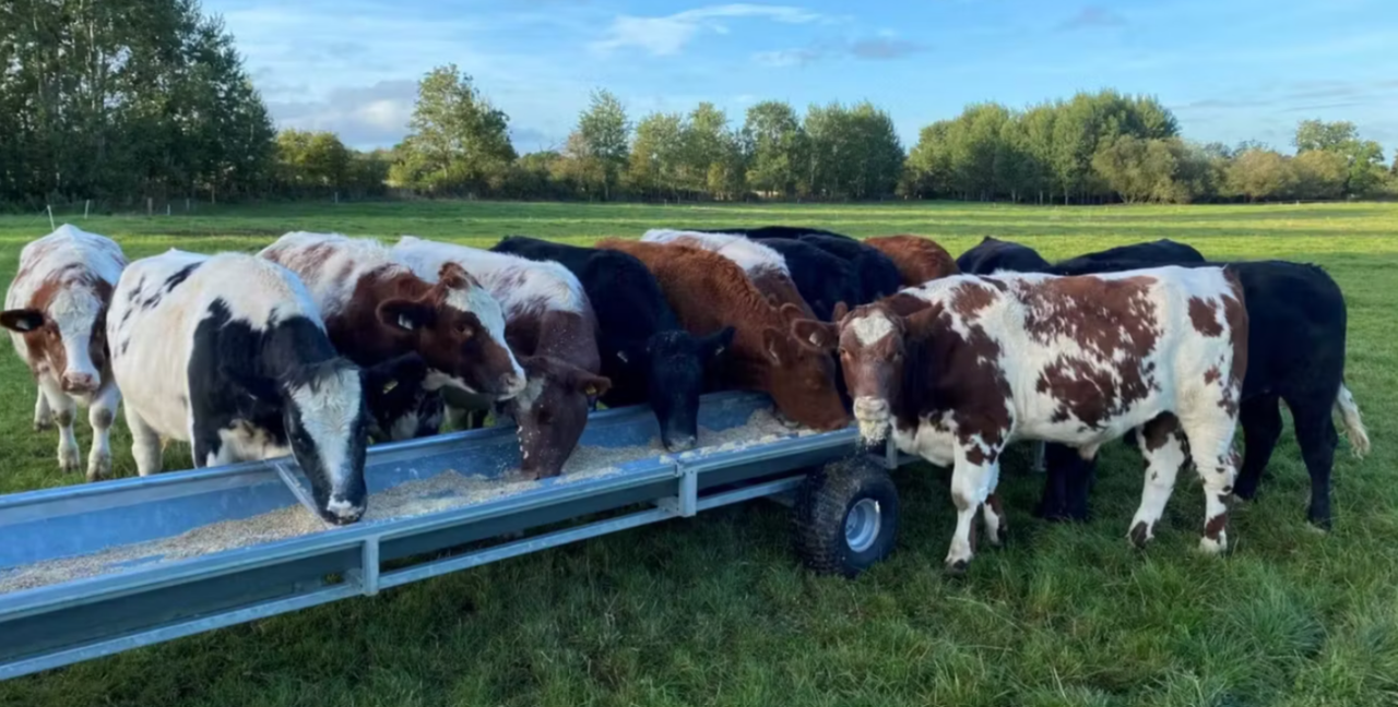 Factory quotes: Beef trade firm but warning store trade 'out of kilter'