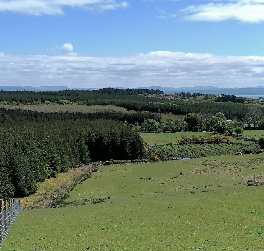 Agriculture minister visits Inishowen Uplands demonstration farm