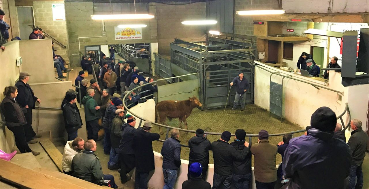 Farmers hear how to protect livelihoods at Knowledge Transfer event in Granard Mart
