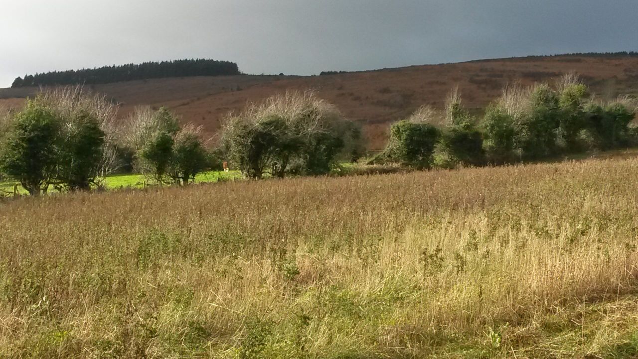 GLAS 2 is more than half full as 11,500 farmers apply to-date