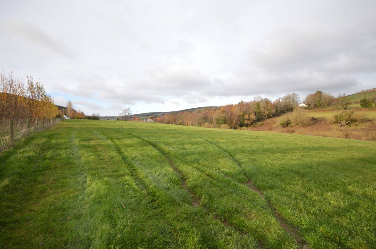 12.5ac Bunclody land suitable for array of ag enterprises