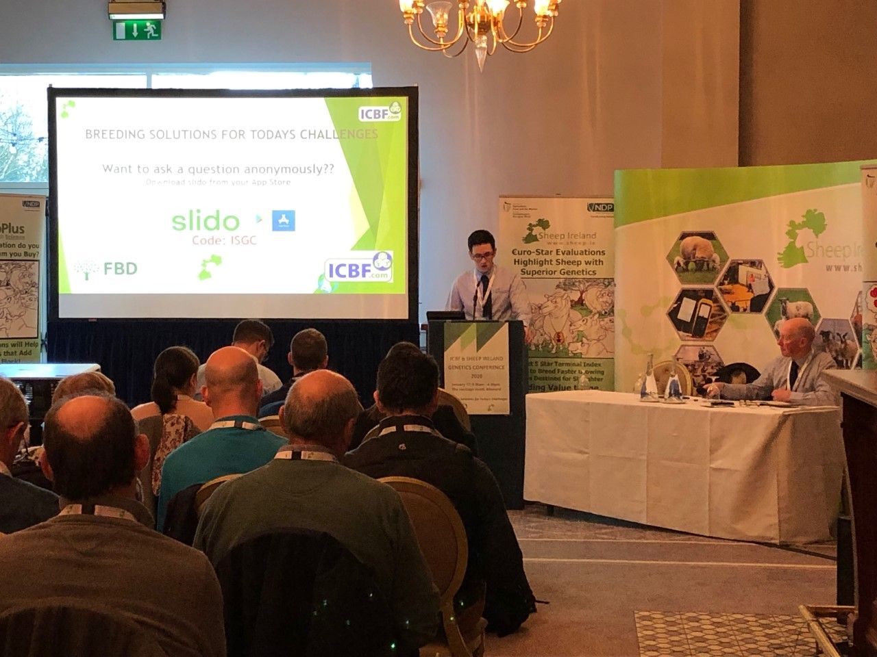 'We need more commercial flocks to start performance recording' - Sheep Ireland's Kevin McDermott