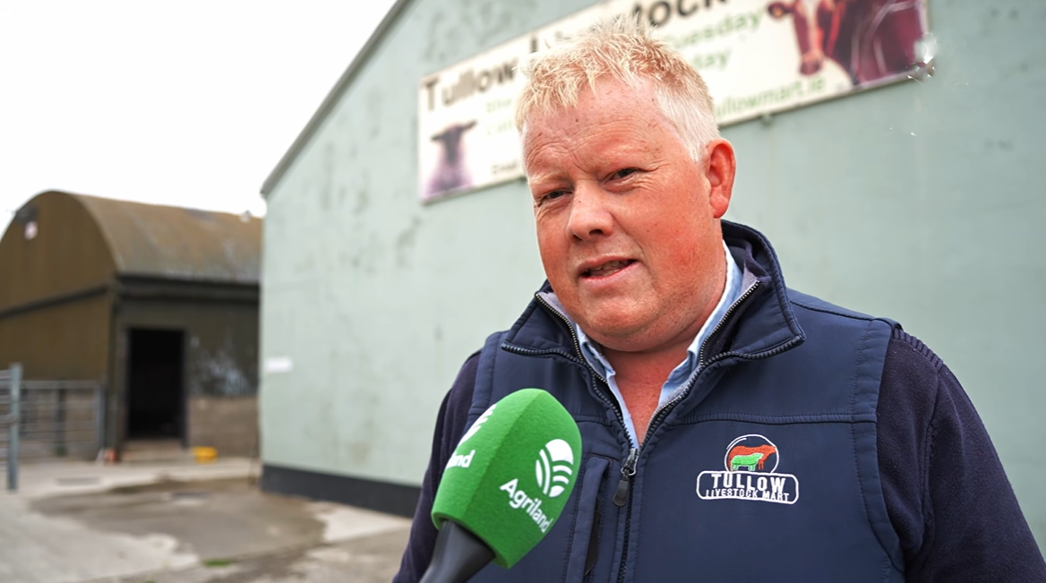 Mart report: Return of grass sees lift in prices for store cattle at Tullow