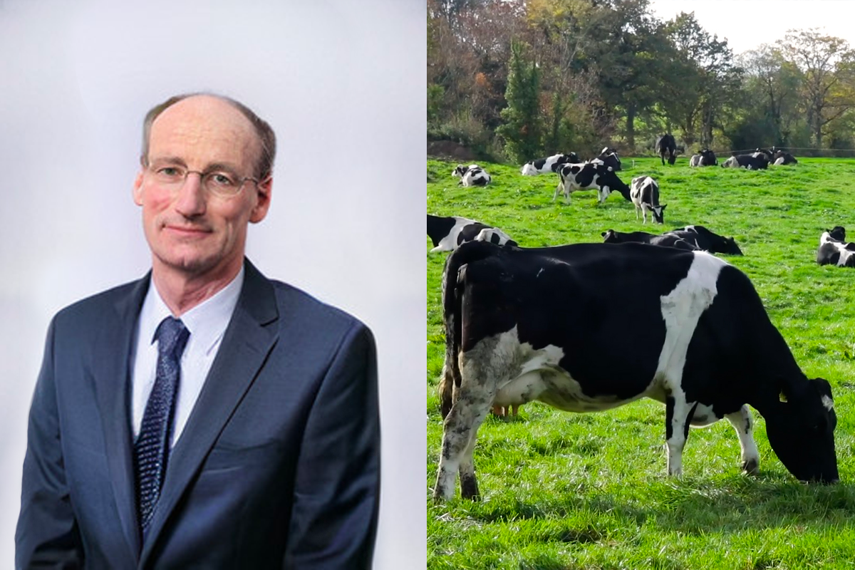 Phelan nominated to board of Glanbia Co-op