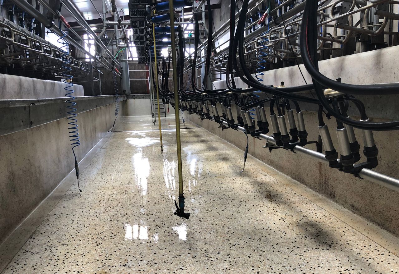 6 simple steps to improving your milking routine