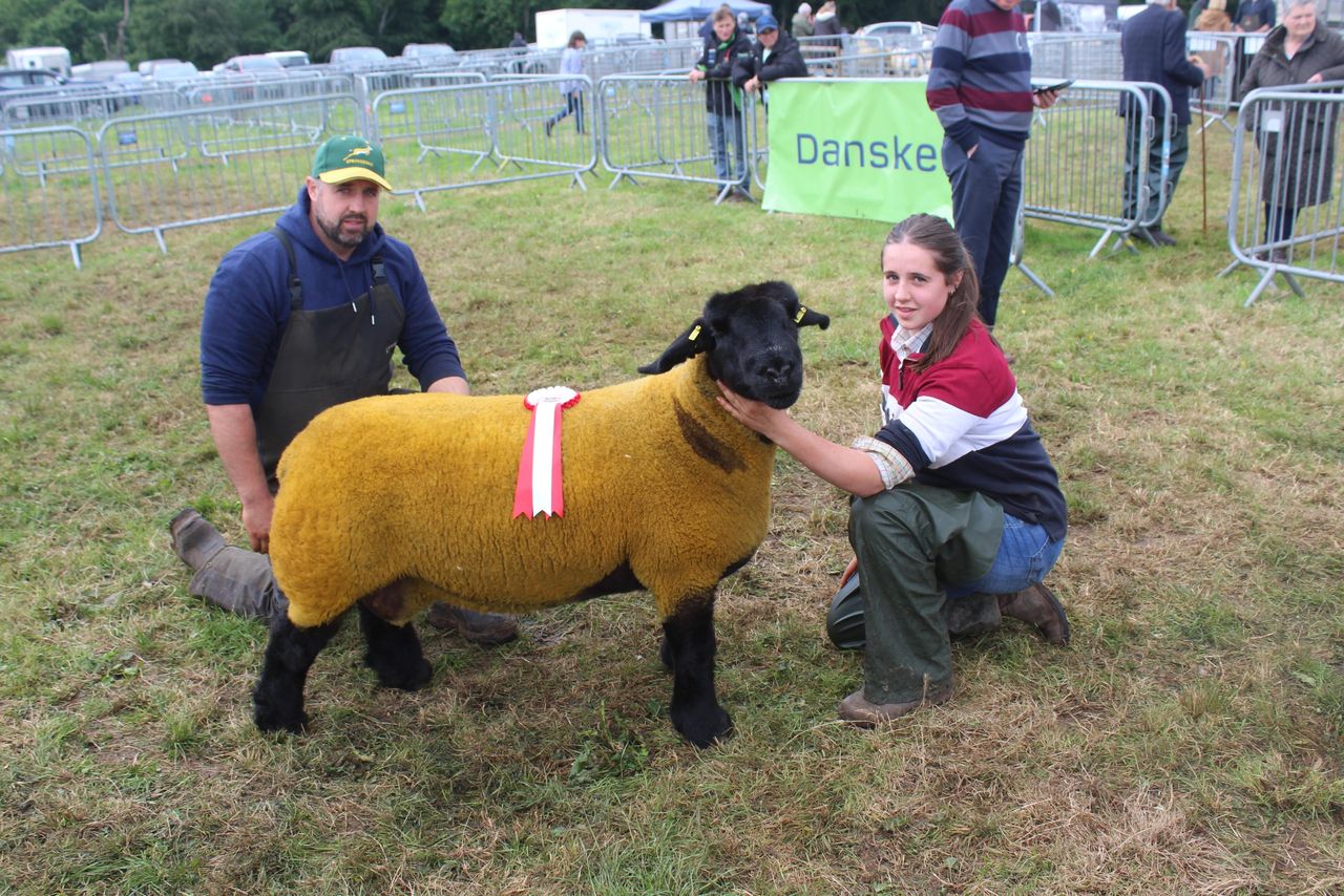 Ballymoney Show 2026 enjoys record sheep turnout