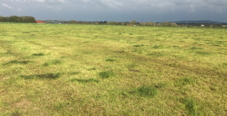 Grass growth: 'Farms that are heavily stocked are really feeling the pinch'