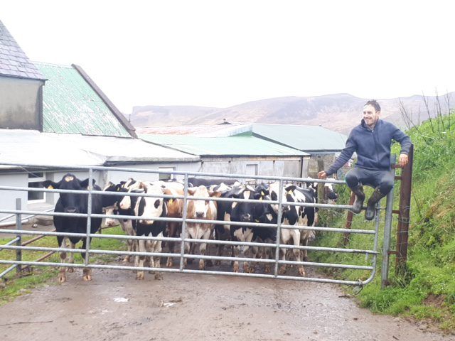 Kerry farm family poised to set 5 Guinness World Records