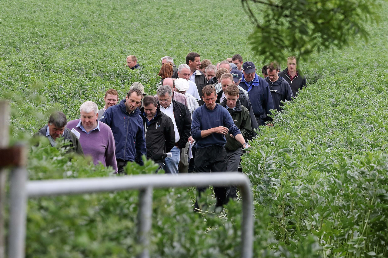 €280/ha Protein Aid Scheme payments issue