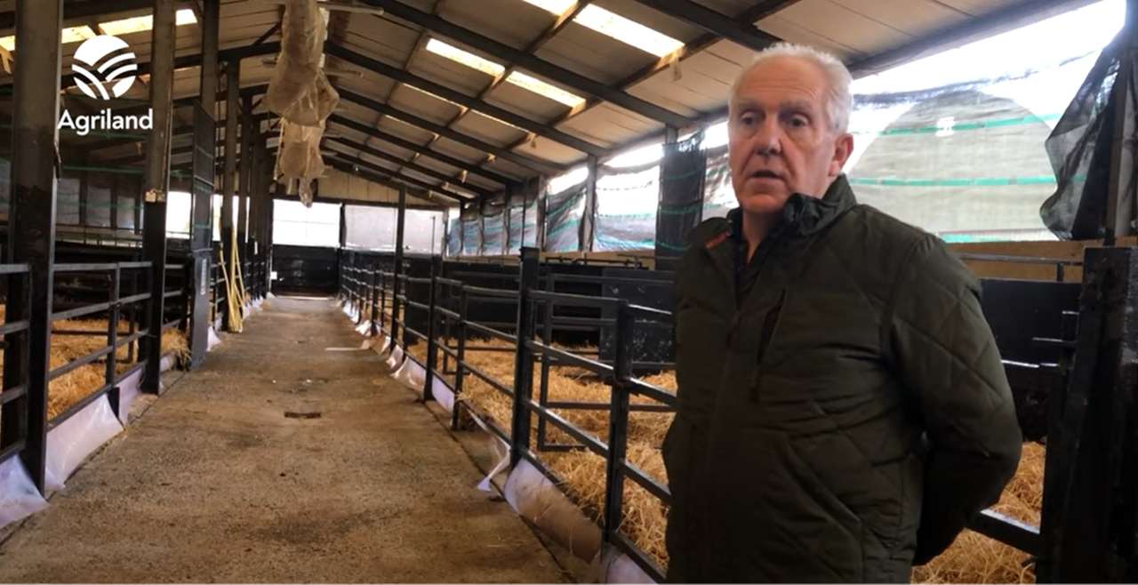 Leading calf buyer warns current high calf prices 'not adding up'