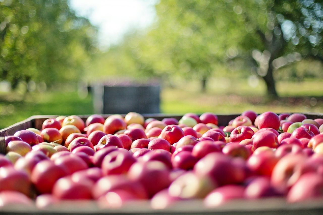 EU pledges €140m to support research in sustainable food systems