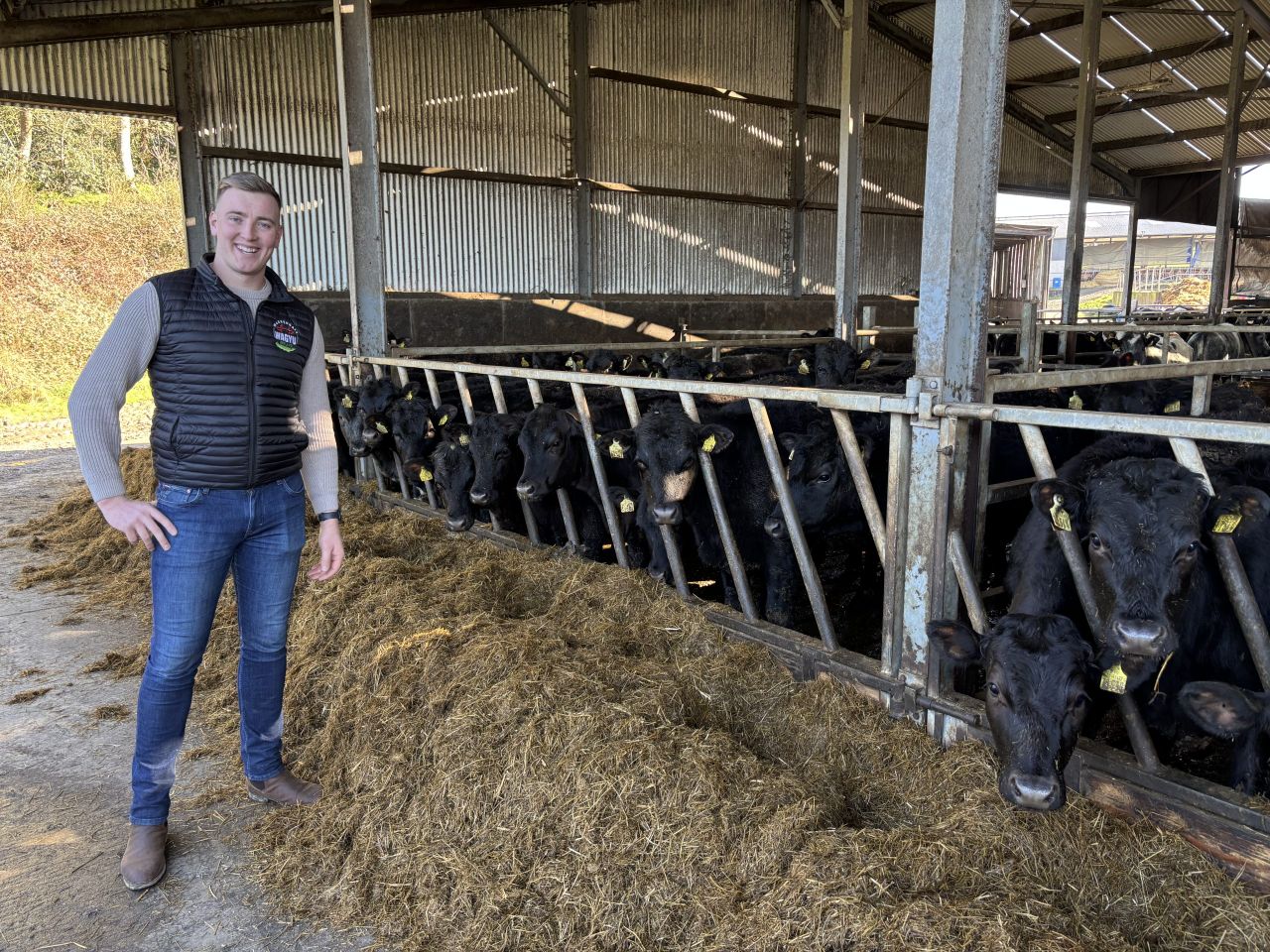 Listen: Young Laois farmer talks calf-to-beef, Wagyu and show cattle