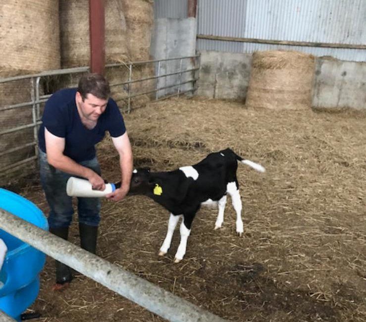 'John will be forever proud': 'Donate a calf' sale for palliative care a 'huge success'
