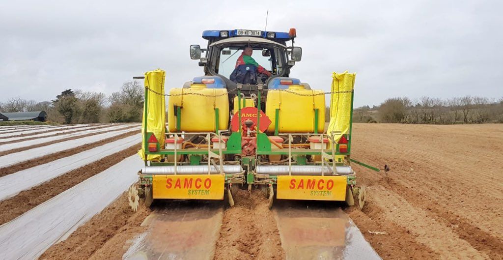 Maize or beet...are you growing on contract?