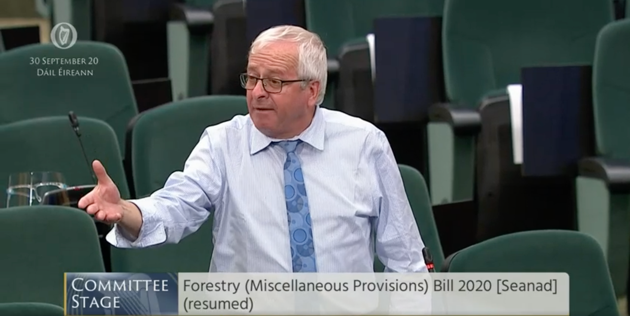 'We cannot sort out housing crisis if we have no timber to make roofs' - McGrath