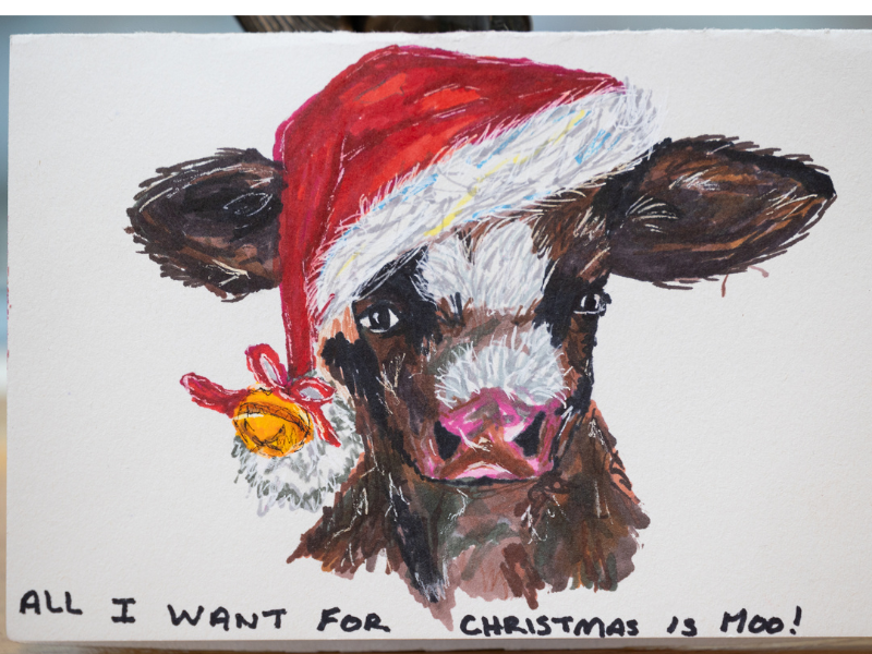 NDC announces winner of Christmas card competition