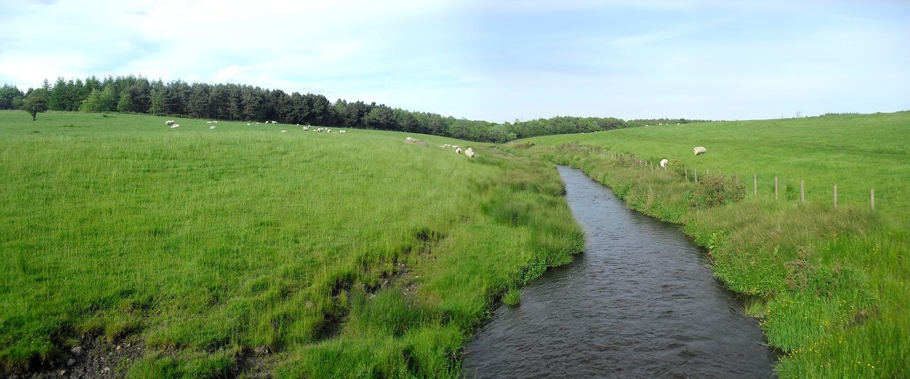 Deadline nears to join water quality project offering up to €2k/ha