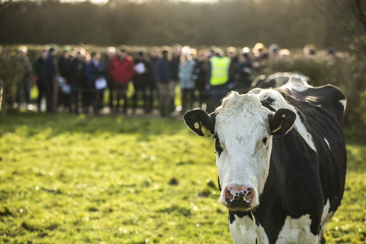 Leitrim Macra to host 'range of events' tomorrow