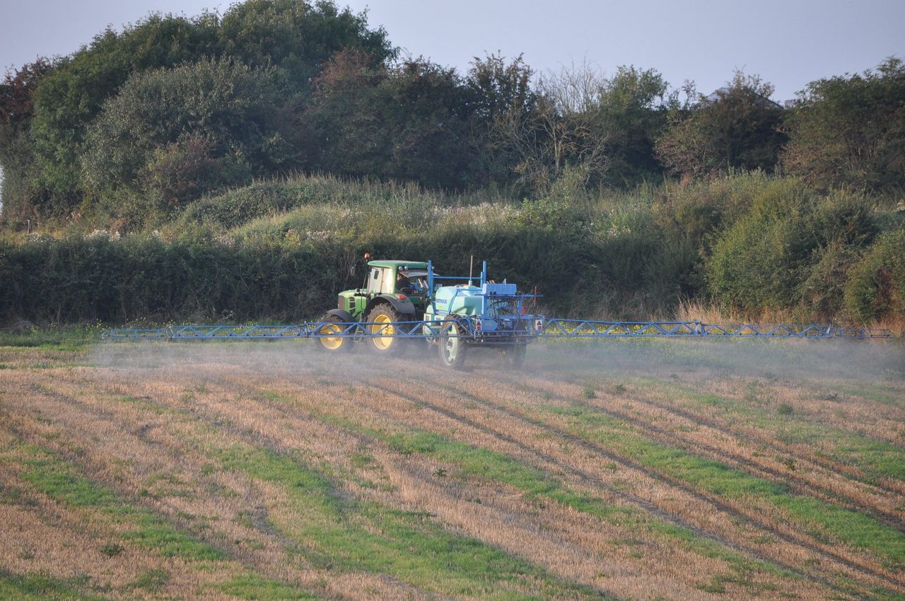 Wait for glyphosate re-authorisation continues
