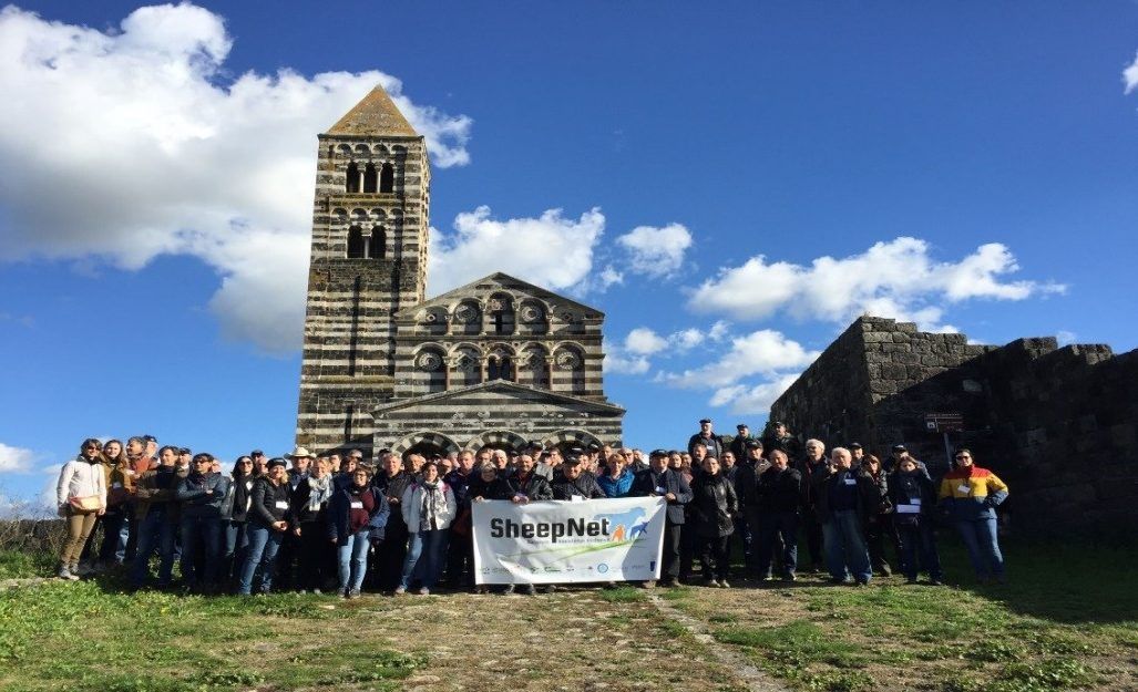SheepNet to hold Irish workshop in June
