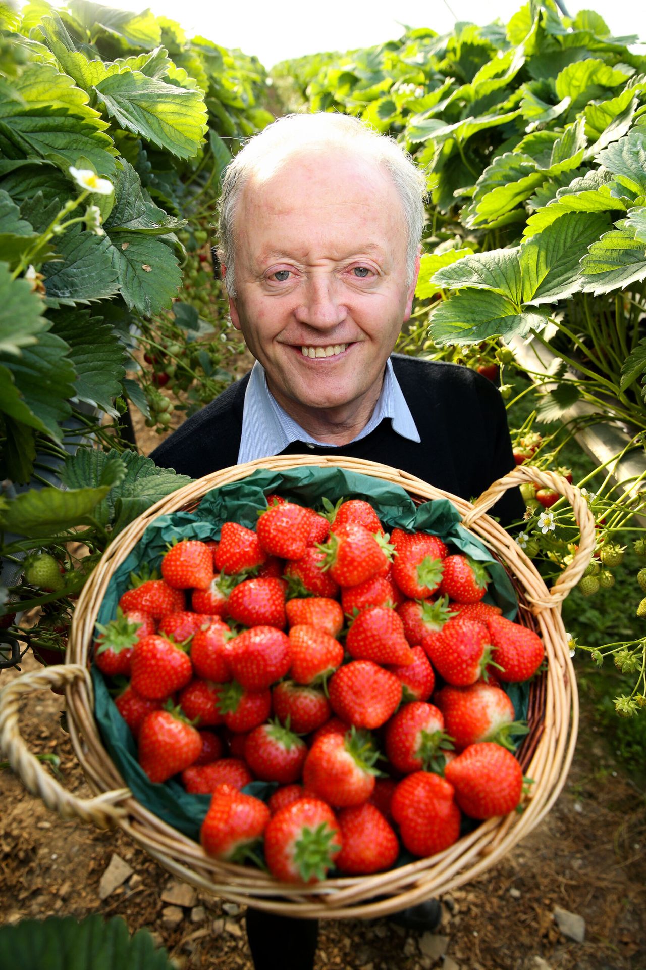 SuperValu will donate €100,000 to Focus Ireland