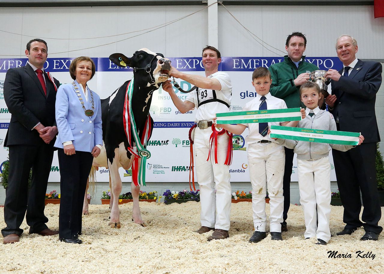 Hallow Holsteins hoover up at Emerald Expo