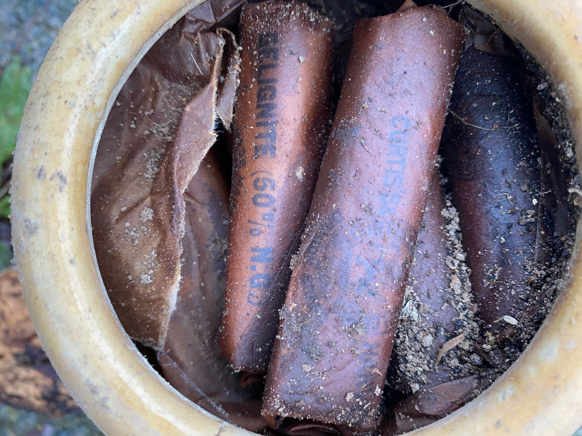 Bomb squad detonates explosives found on Cork farm