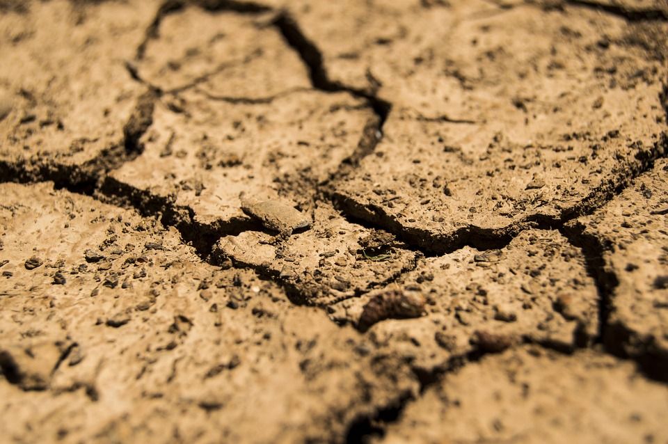 Ireland urged to increase funding to curb global food insecurity