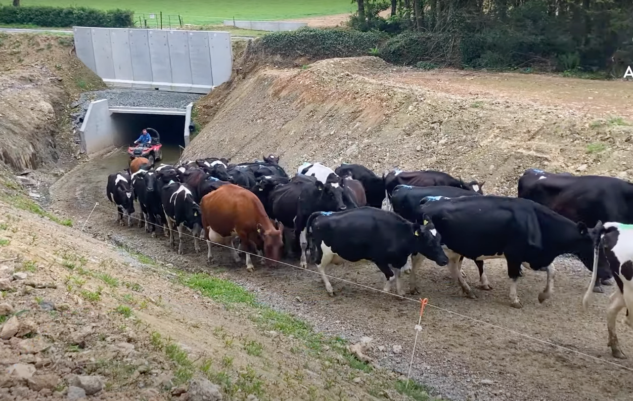 Infrastructure Focus: Opening up safe and easy access to 170ac with an underpass in Co. Cork