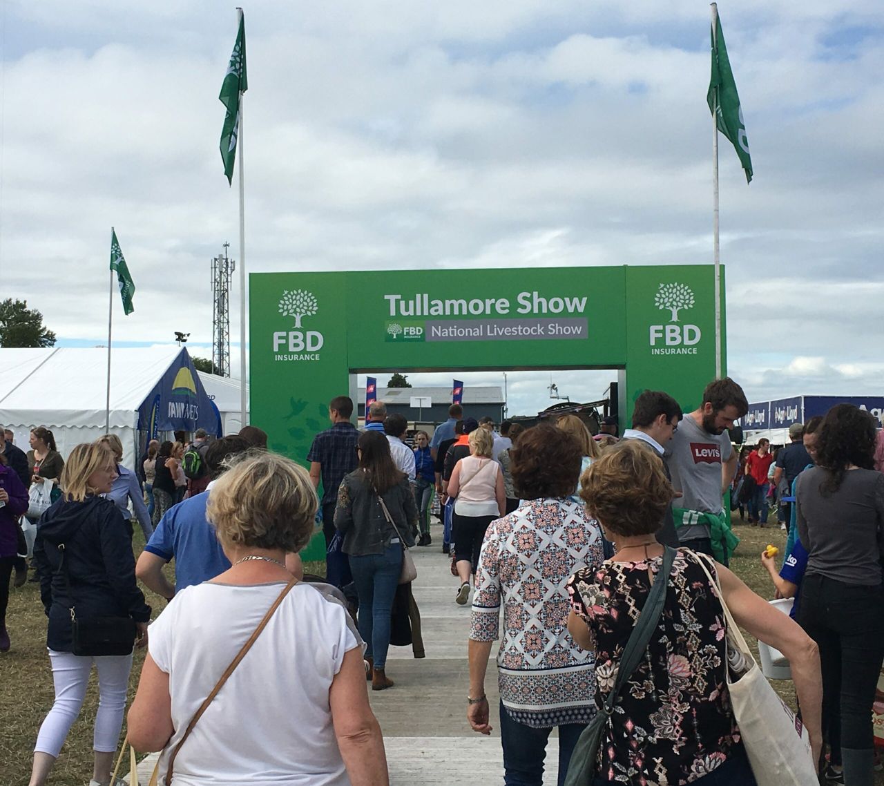 Pics: Crowds flock to Tullamore Show