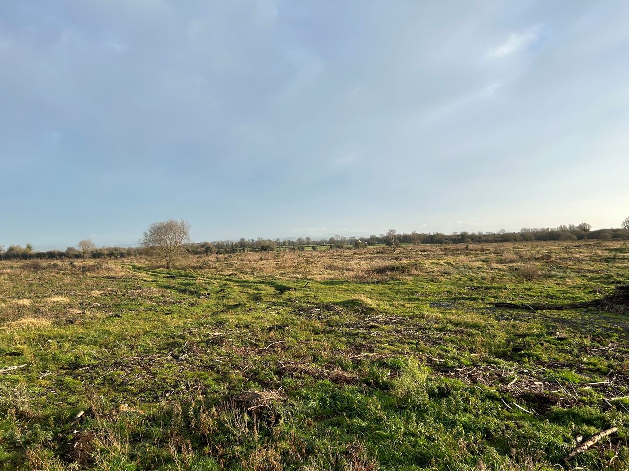 170ac of cleared forestry lands for sale in Kildare