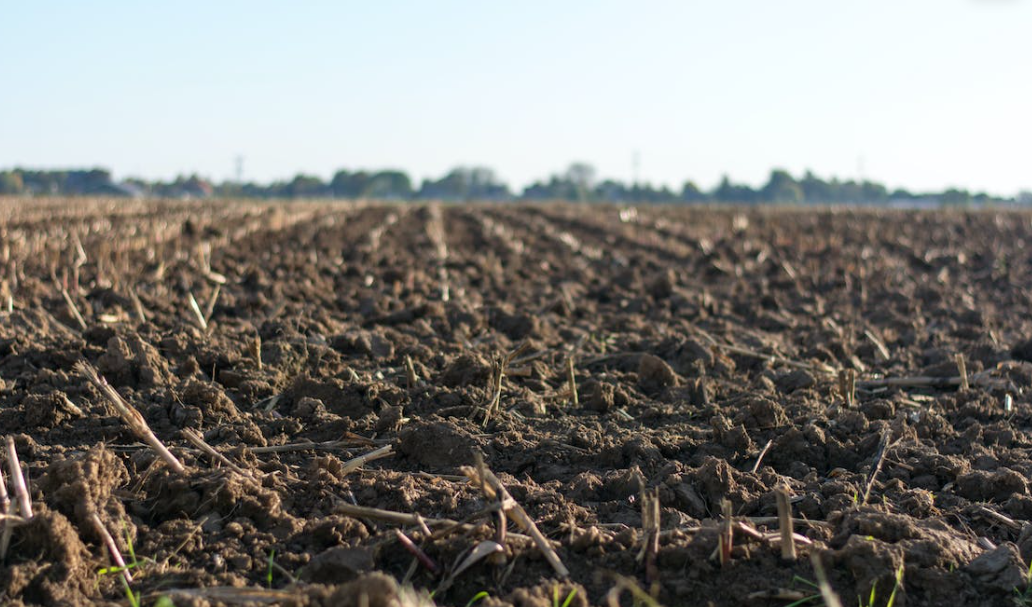 Analysis: Many arable soils in UK still too acidic