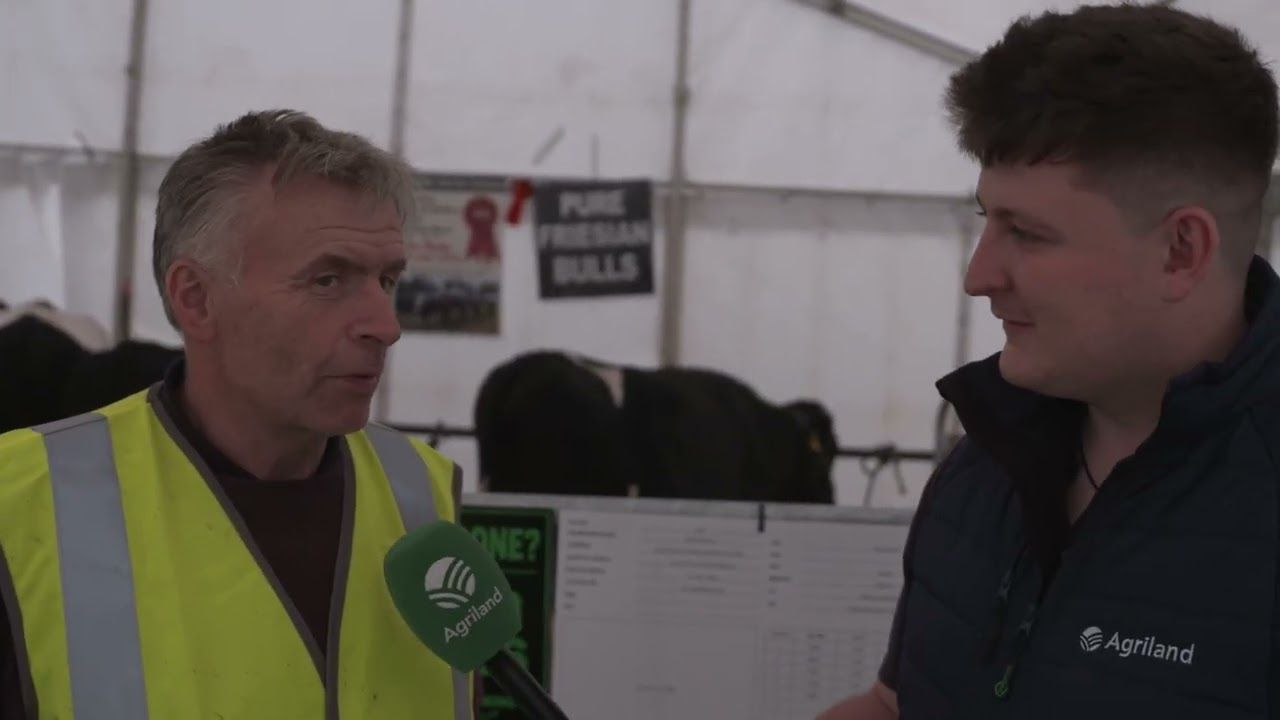 John Kelly Discusses Pure Friesians at Ploughing 2026